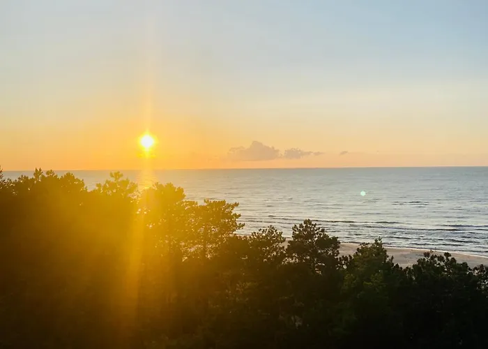 Seaside Shellter Daire